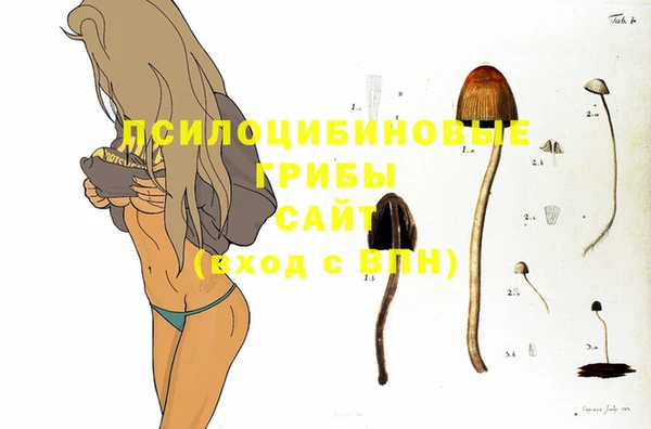 ГАЛЛЮЦИНОГЕННЫЕ ГРИБЫ Армянск