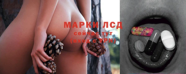 шишки Баксан