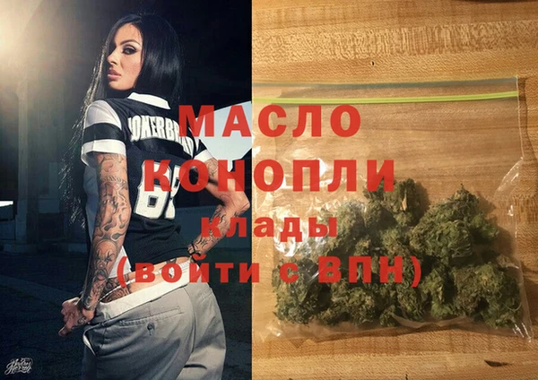 гидра Весьегонск