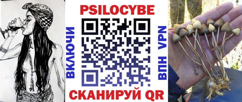 цены наркотик  Жуковка  Псилоцибиновые грибы Psilocybe 